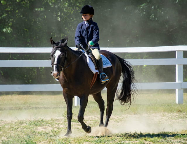 a person riding a horse