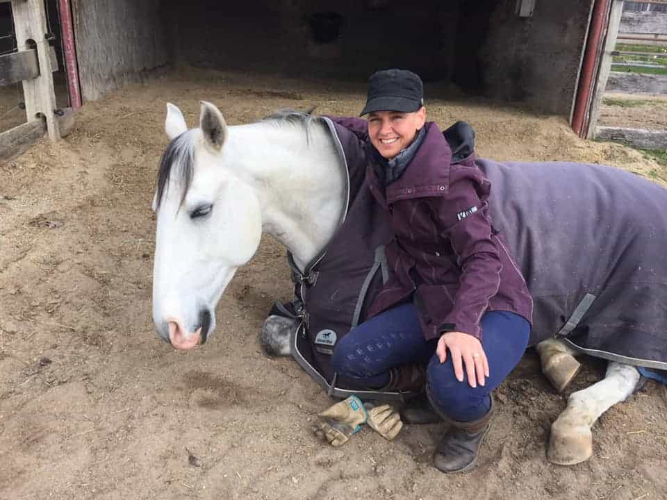 a person sitting on a horse