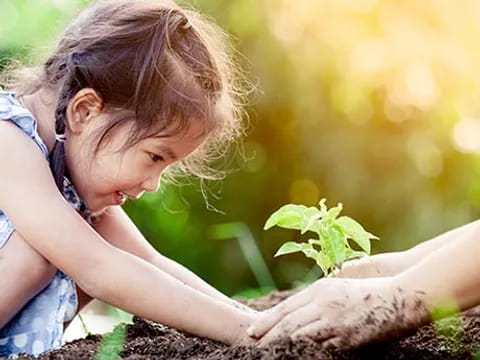 a young girl planting a plant