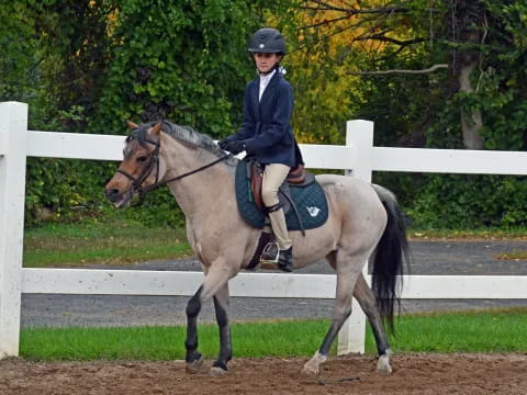 a man riding a horse