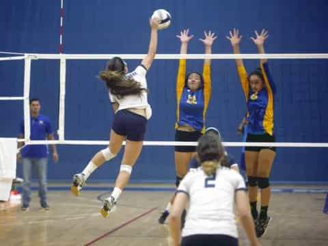 a group of women playing volleyball