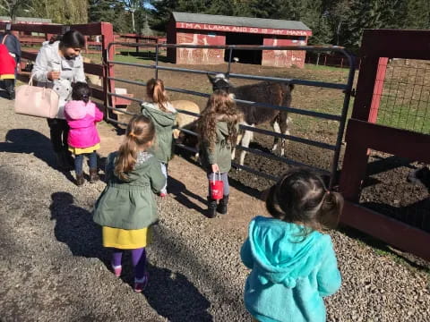 a group of children looking at a goat in a pen