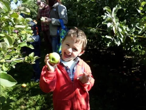 a boy holding an apple