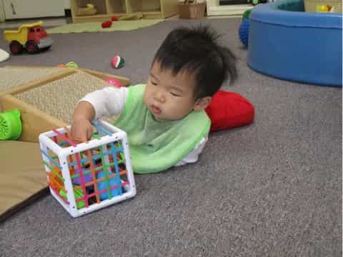 Little Sprouts - Child Care, Head Start Center, Preschool
