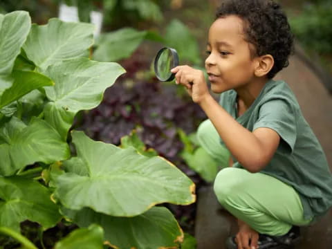a young boy looking at a plant