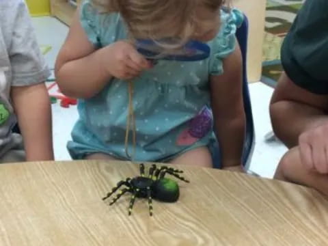 a child looking at a bug