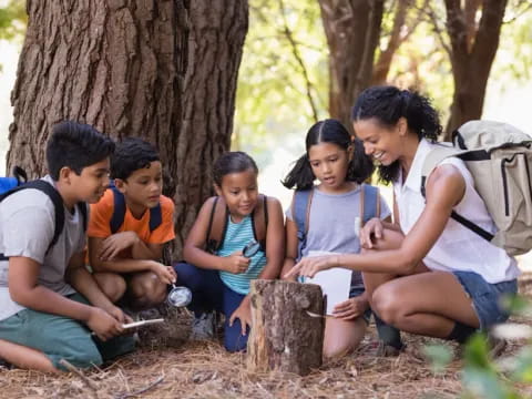 a group of people sitting on a tree stump