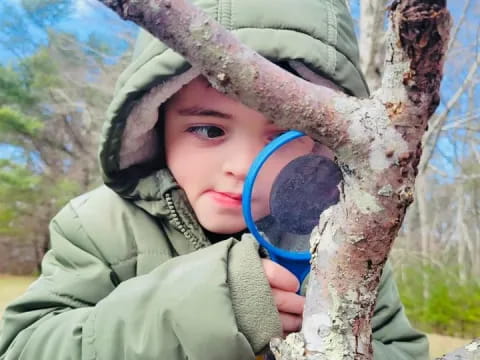 a child holding a tree branch