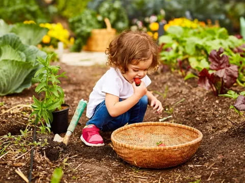 a child playing in a garden