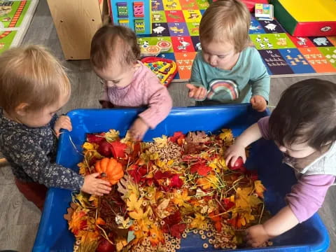 children playing with toys