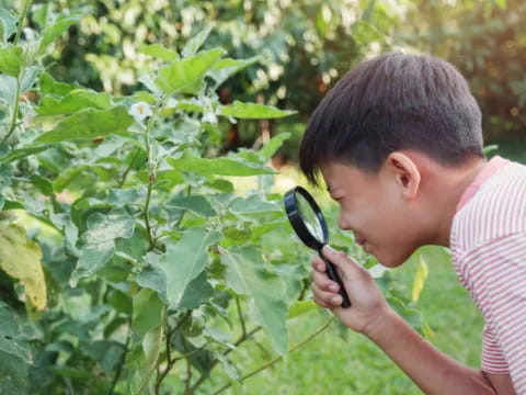 a boy looking at a plant