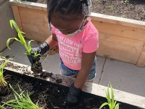 a girl planting a garden