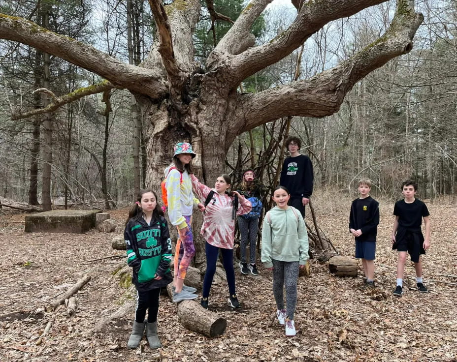 a group of people standing under a tree