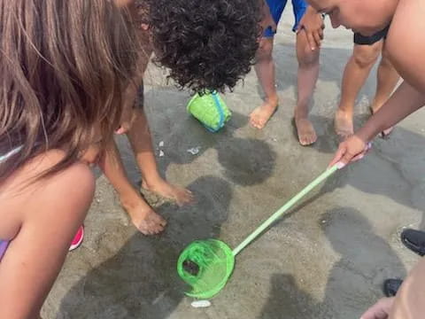 a group of children playing in the sand