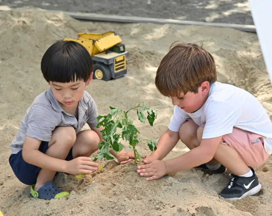 two boys playing with plants