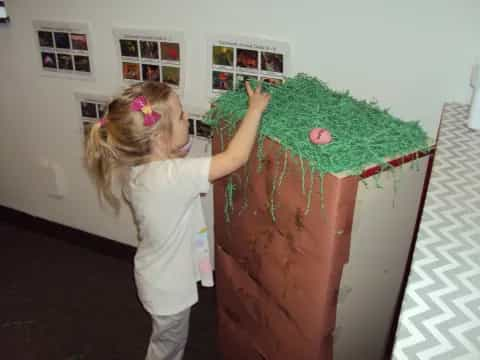 a girl holding a tree