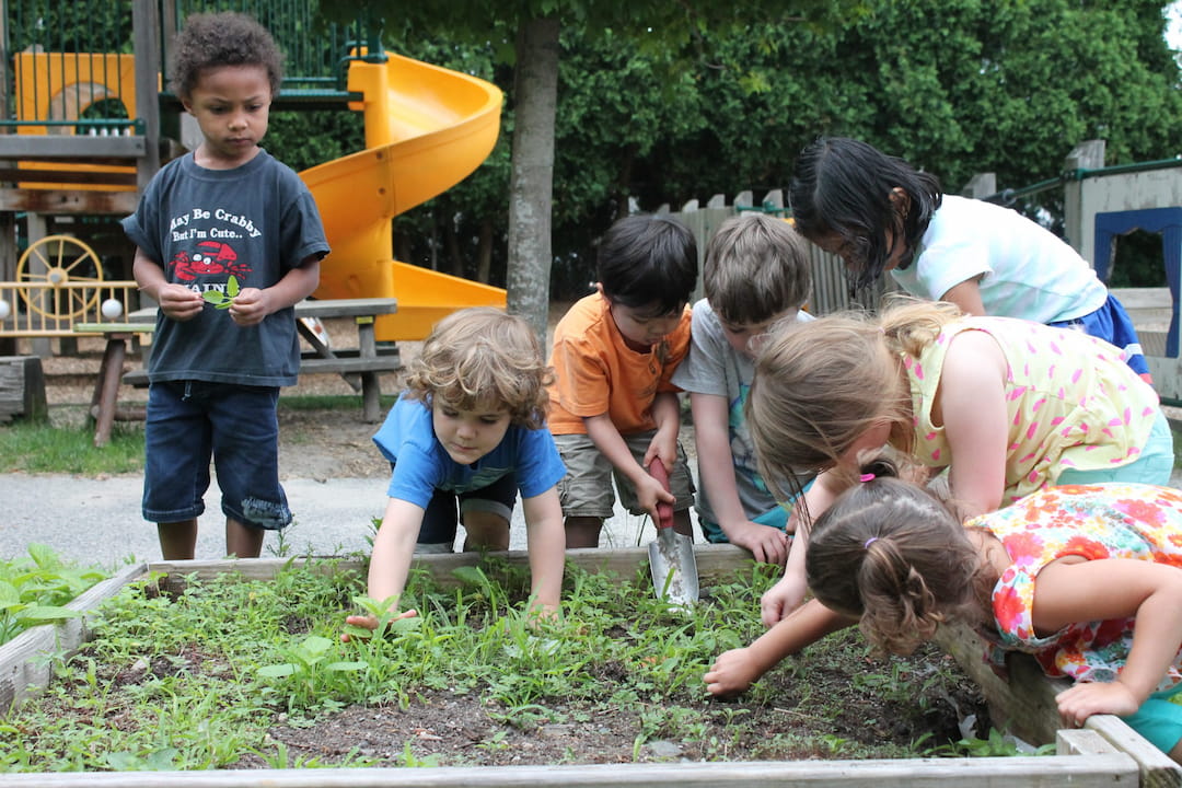 a group of children planting plants