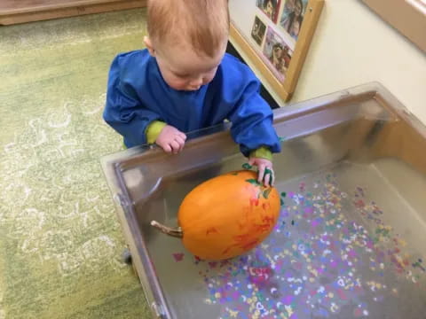 a child sitting in a bucket with a pumpkin in it
