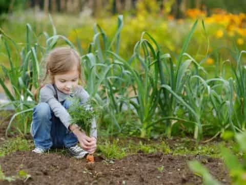 a young girl planting a garden