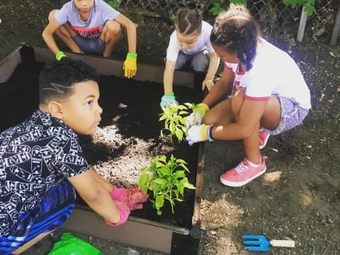a group of children planting plants
