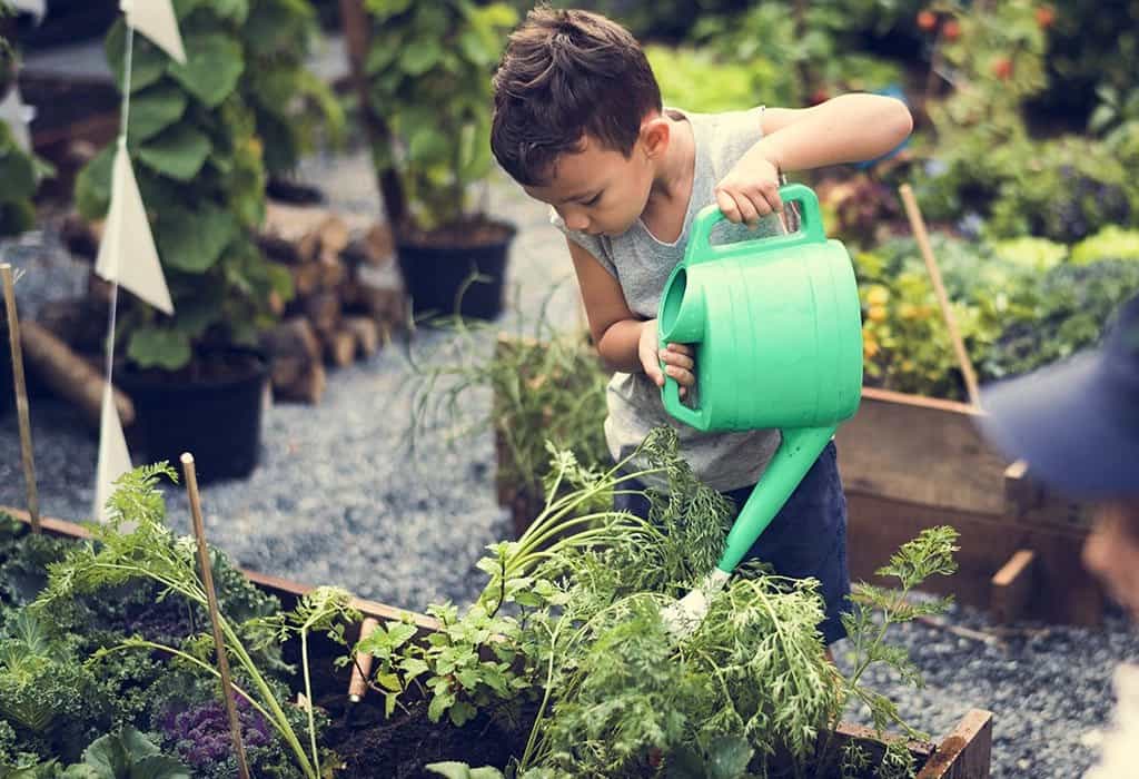 a young boy watering plants