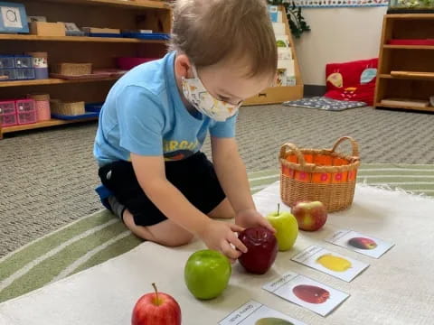 a child painting apples