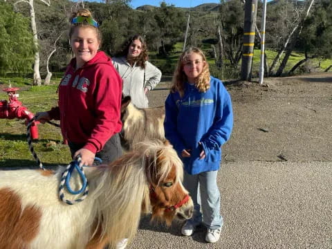 a group of people with dogs