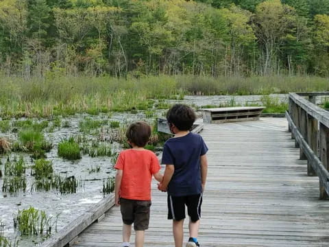 two boys walking on a wooden bridge