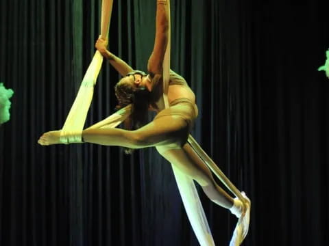 a person performing on a pole