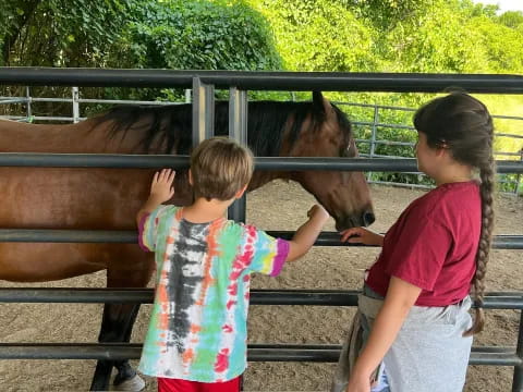 a couple of children petting a horse through a fence