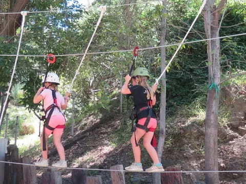 a group of people wearing helmets and climbing a tree