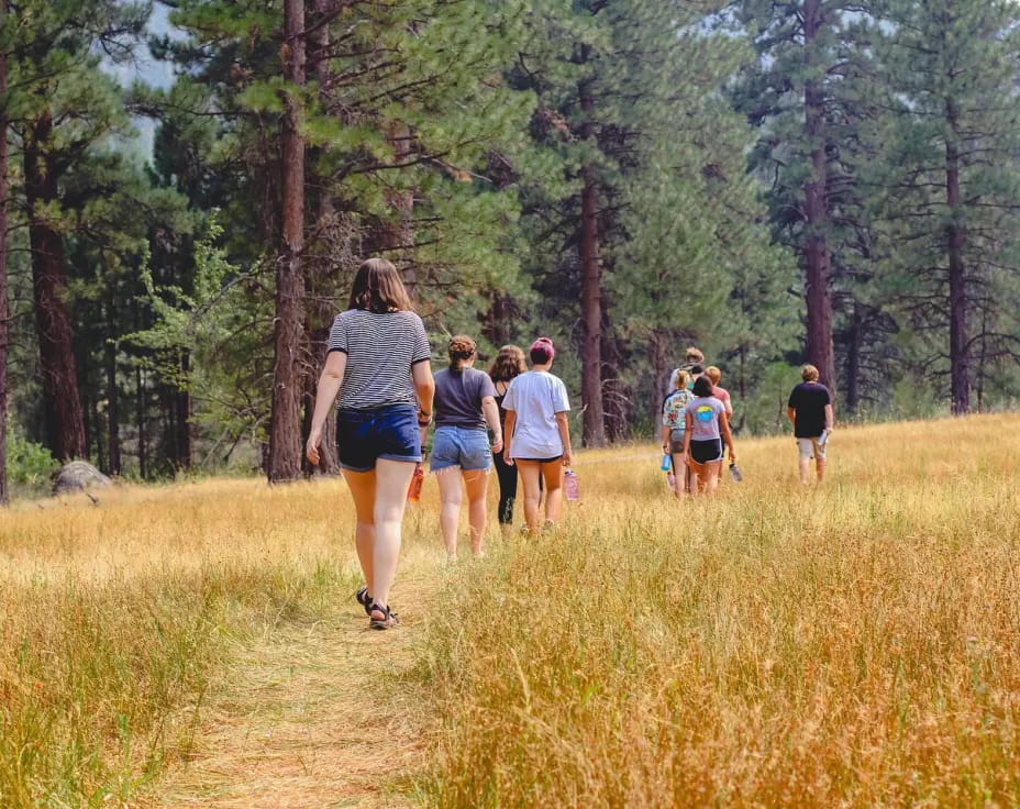 a group of people walking on a trail in the woods