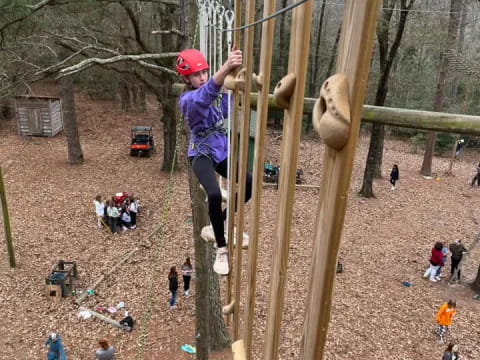 a person climbing a tree