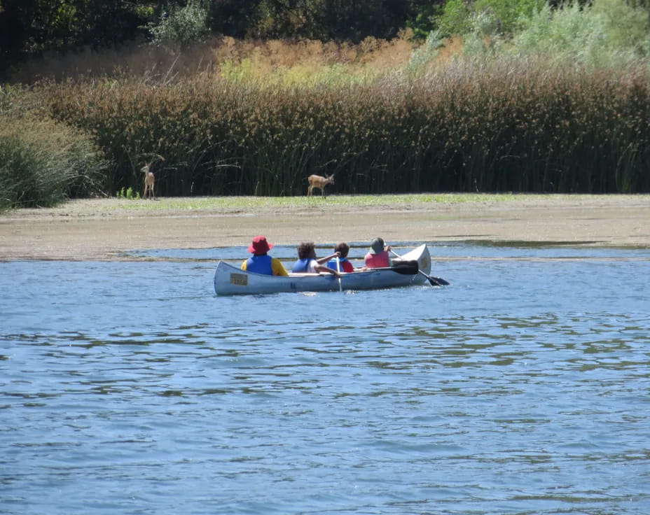 a group of people in a boat