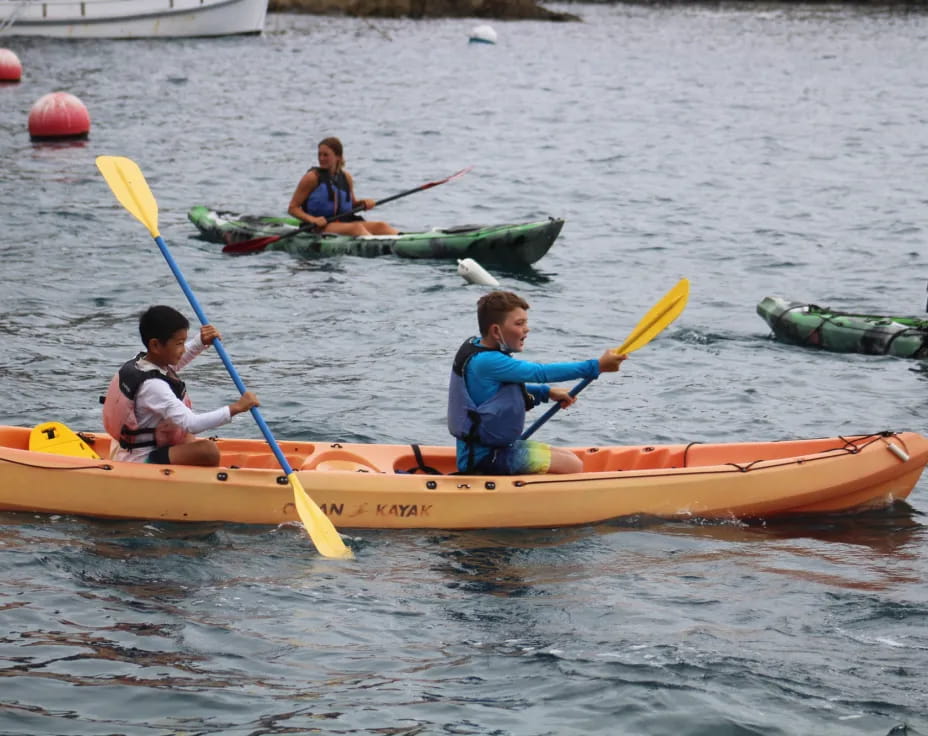 a group of people in kayaks
