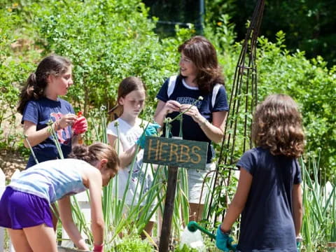 a group of children playing outside