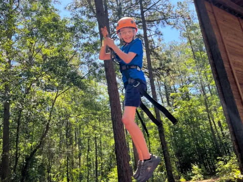 a person climbing a tree