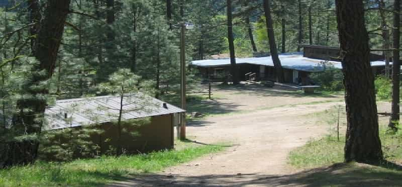 a dirt road with trees on either side of it