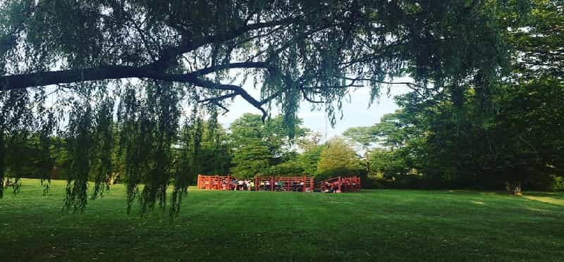 a group of people sitting in a park