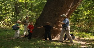a group of people standing around a tree