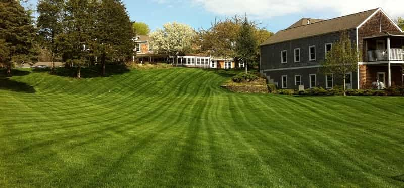 a large green lawn in front of a house