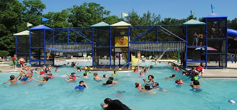 a large group of people in a pool