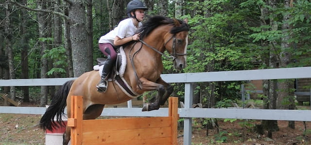 a person riding a horse