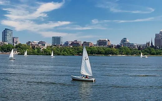 a group of sailboats on the water