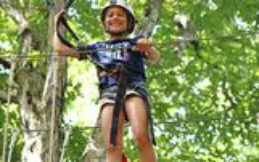 a boy climbing a tree