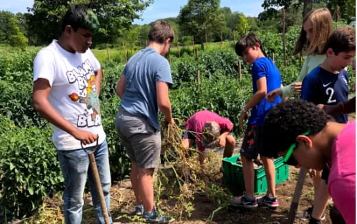 a group of people working in a garden