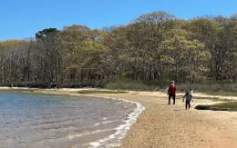 a group of people walking along a beach