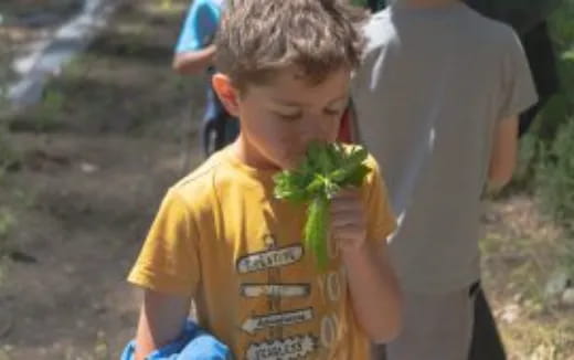 a boy holding a plant