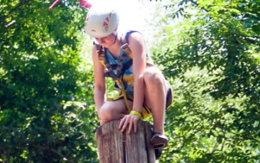 a person sitting on a tree stump