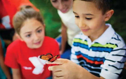 a group of children looking at a butterfly on a red heart